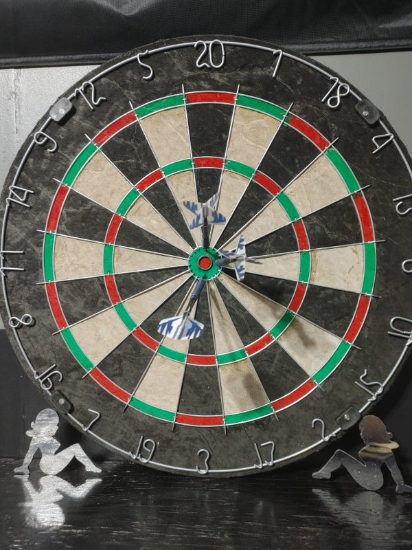 Dartboard for Paul Holladay